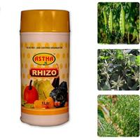 Astha RHIZO (1 Ltr), (Rhizobium Sp. Liquid  Base) For Bio Fertilizers
